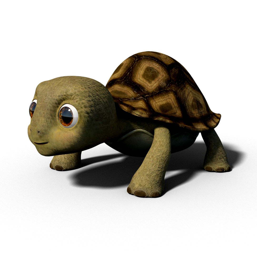 litlle turtle