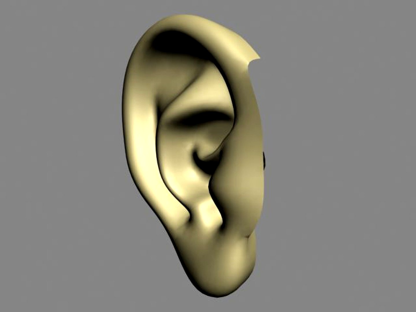 Ear