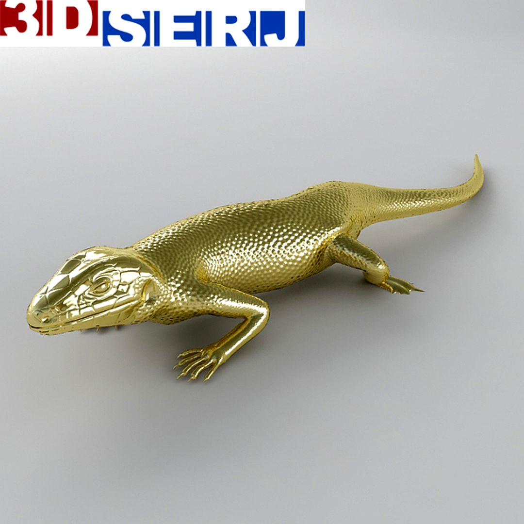 lizard  brooch