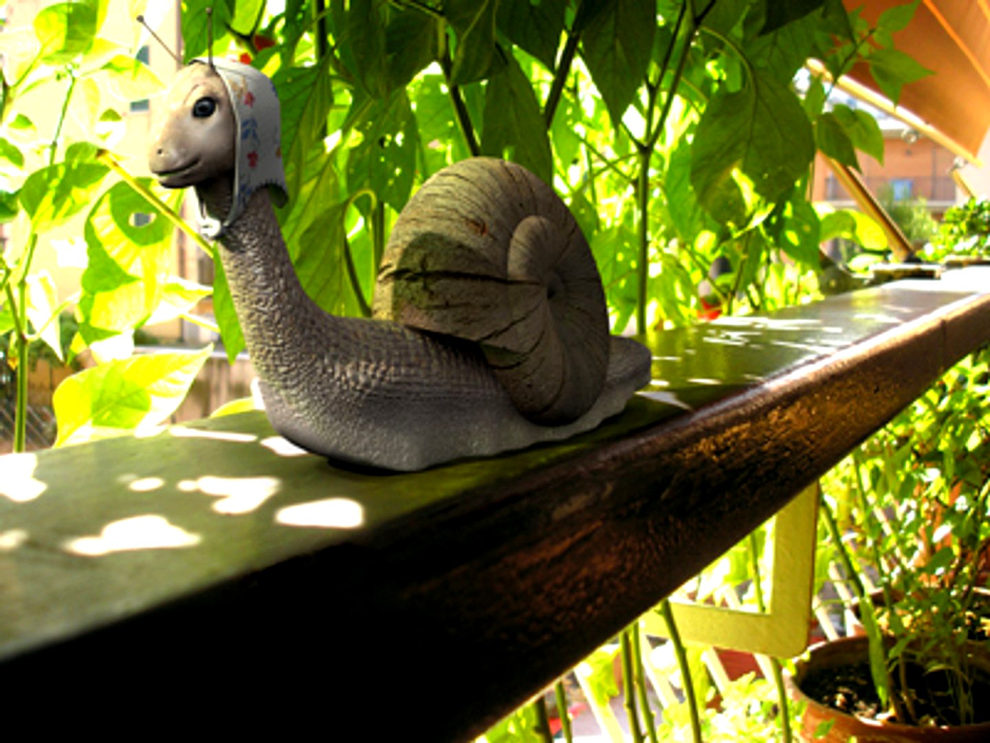 Snail
