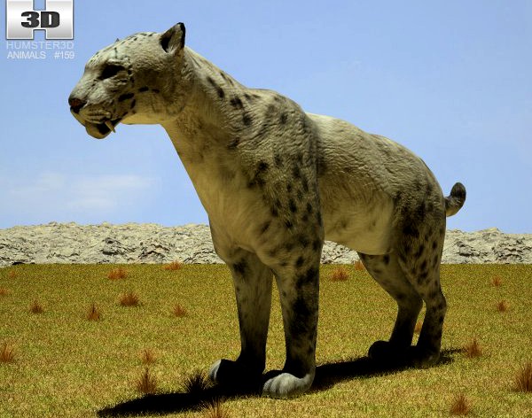 Homotherium 3D Model