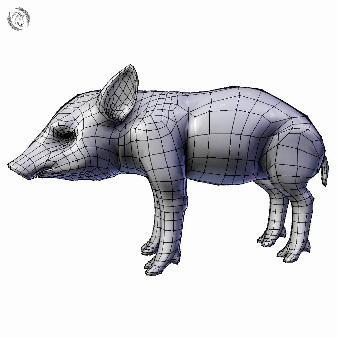 pig piglet basemesh