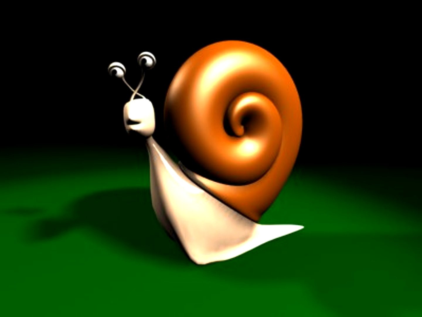 snail