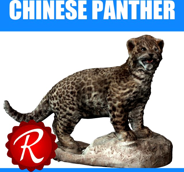 Chinese Panther 3D Model