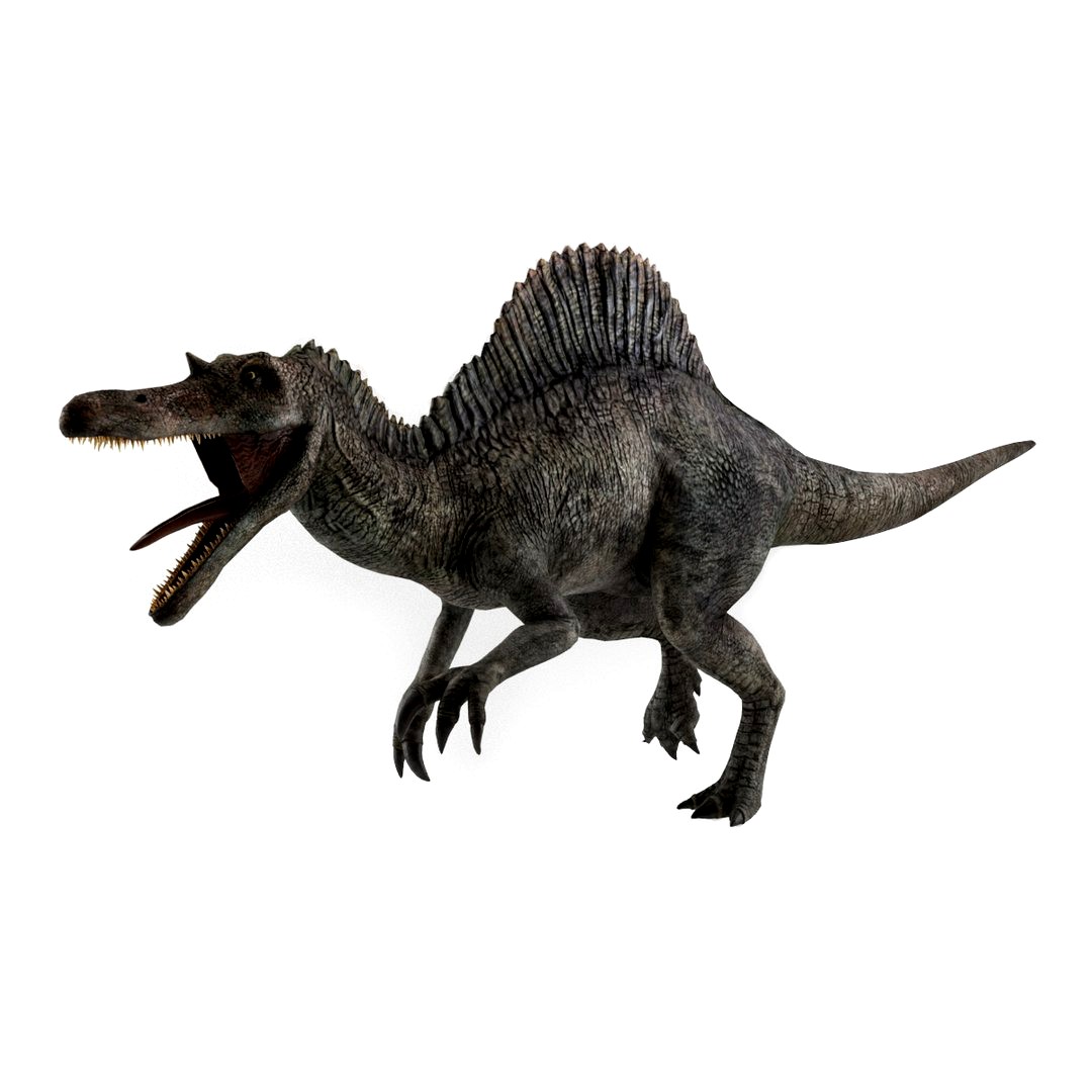 Spinosaurus (Rigged)