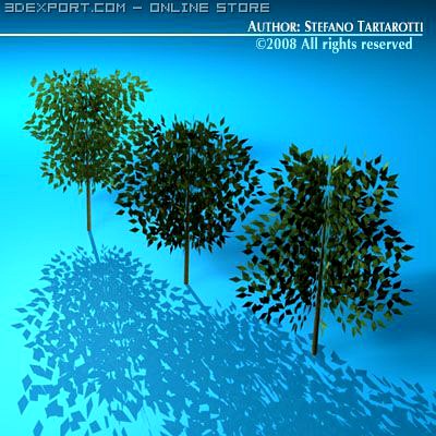 Trees 3D Model