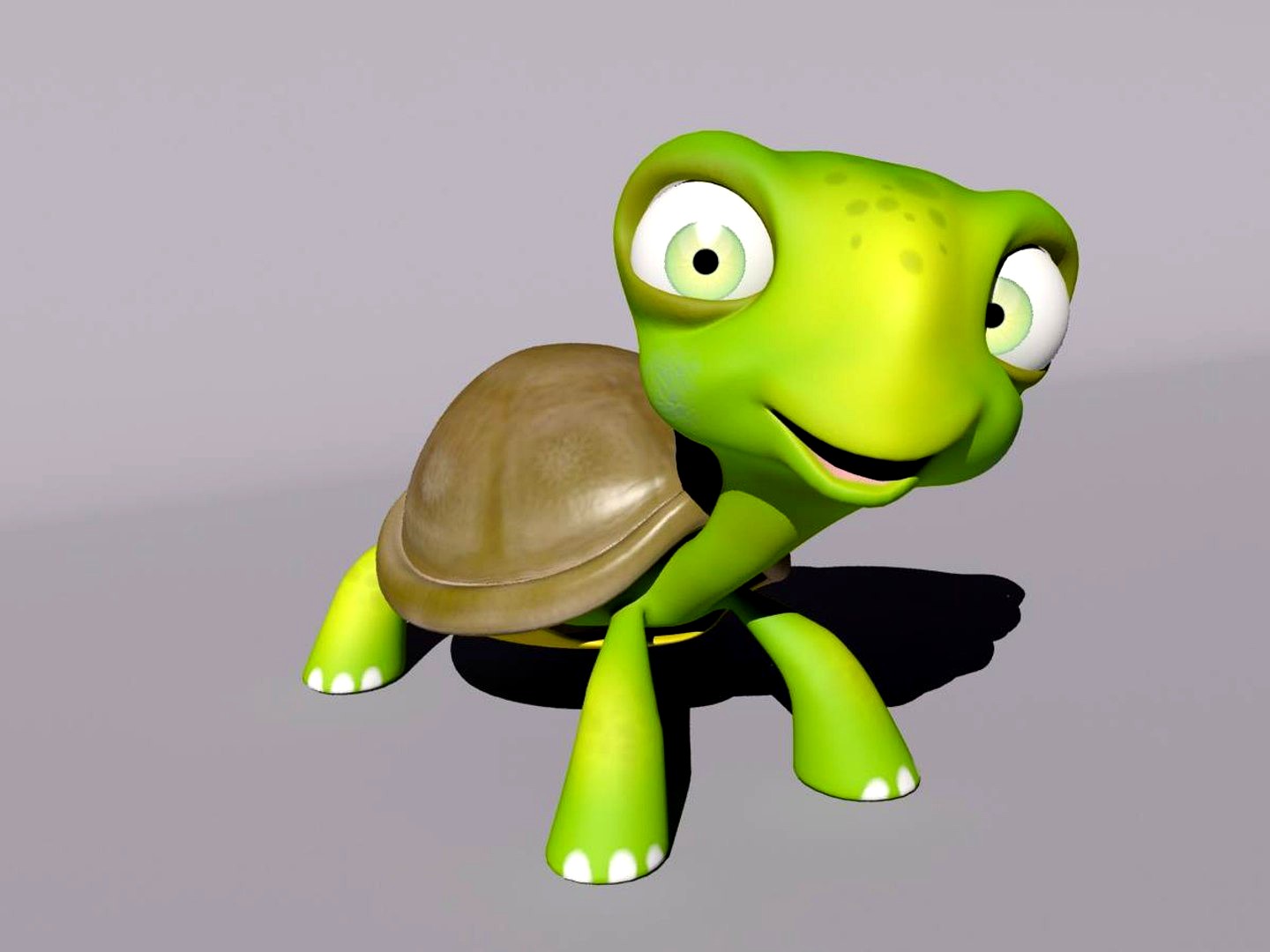 Turtle Cartoon