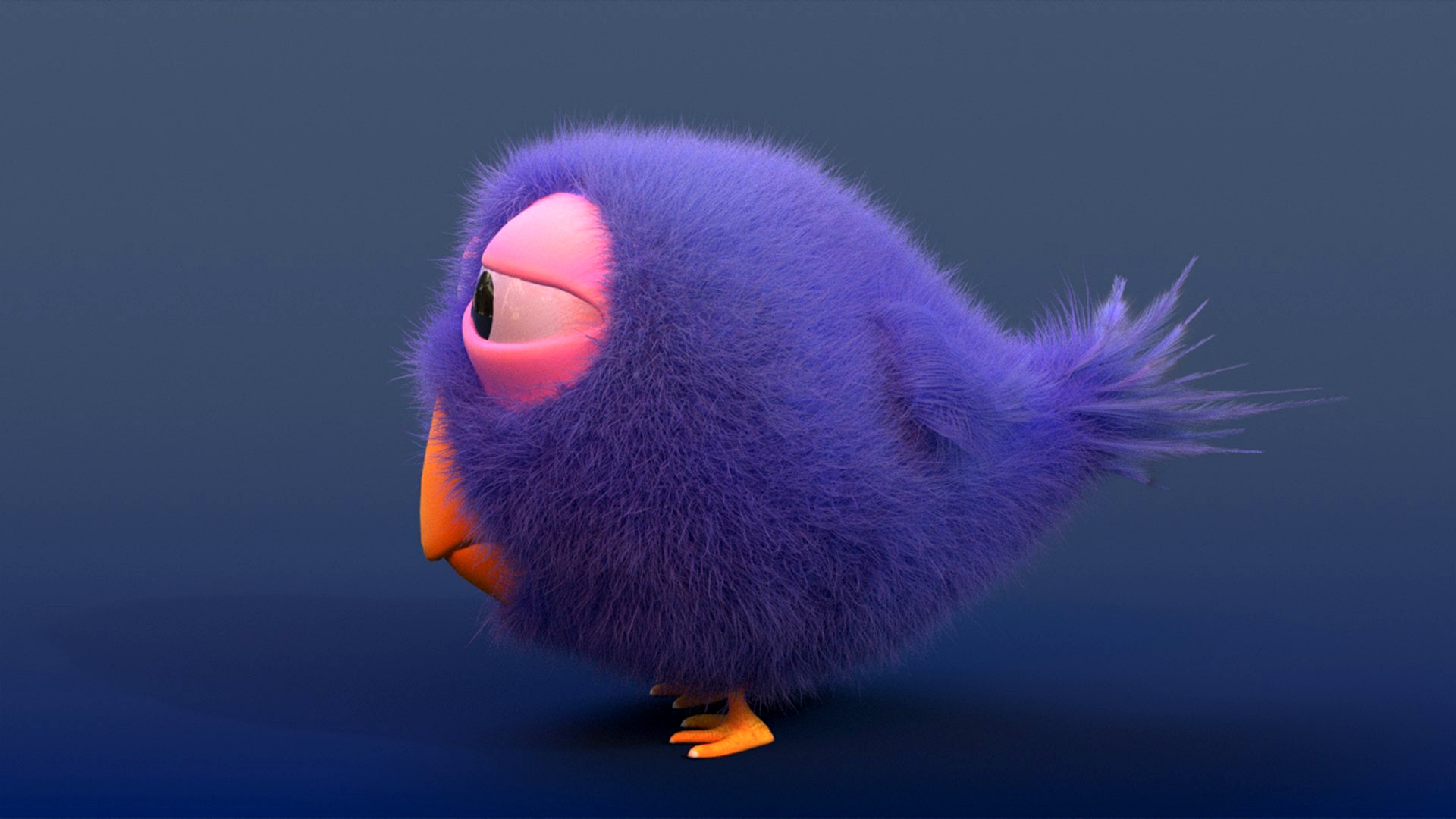 Fluffy bird