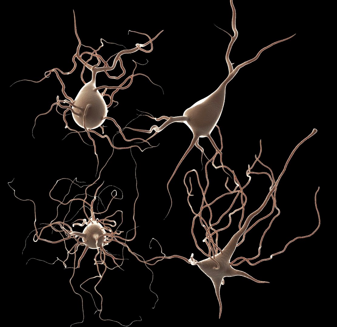 4 Neurons package