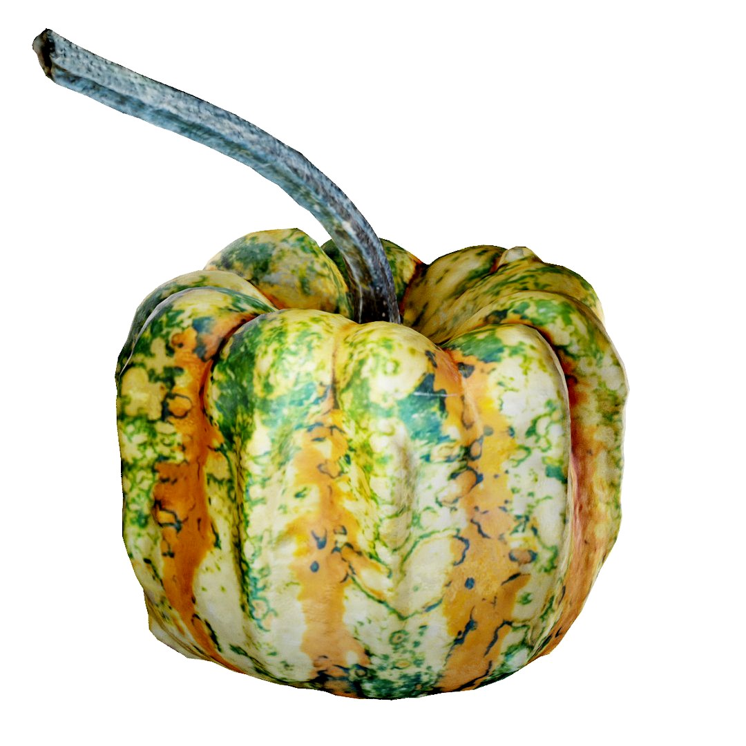 Decorative Gourd