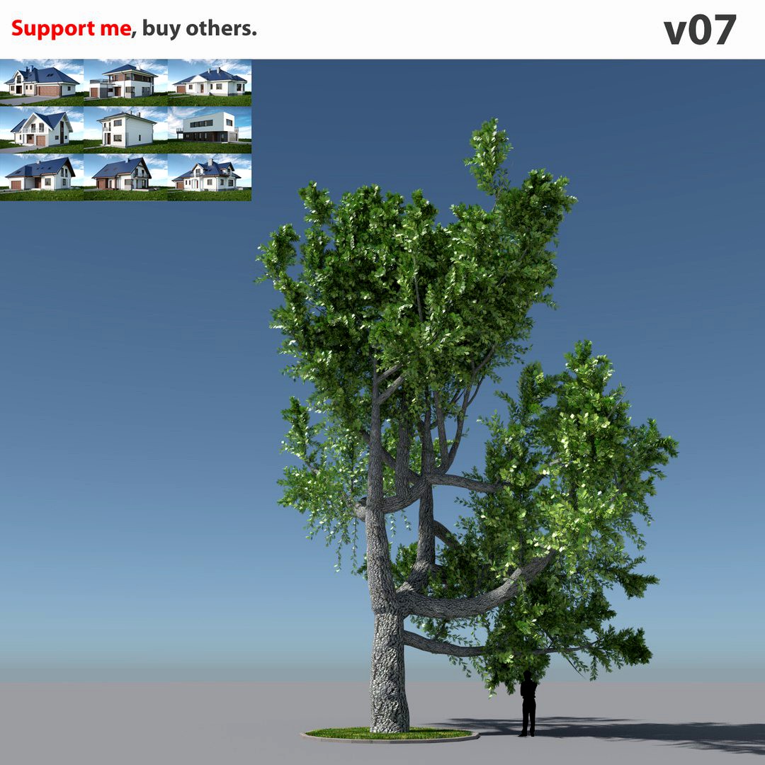 Tree Oak V7