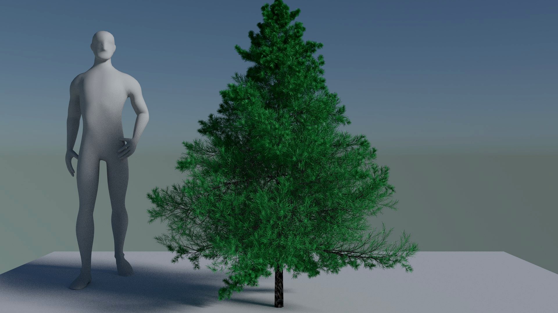 fir-tree pack