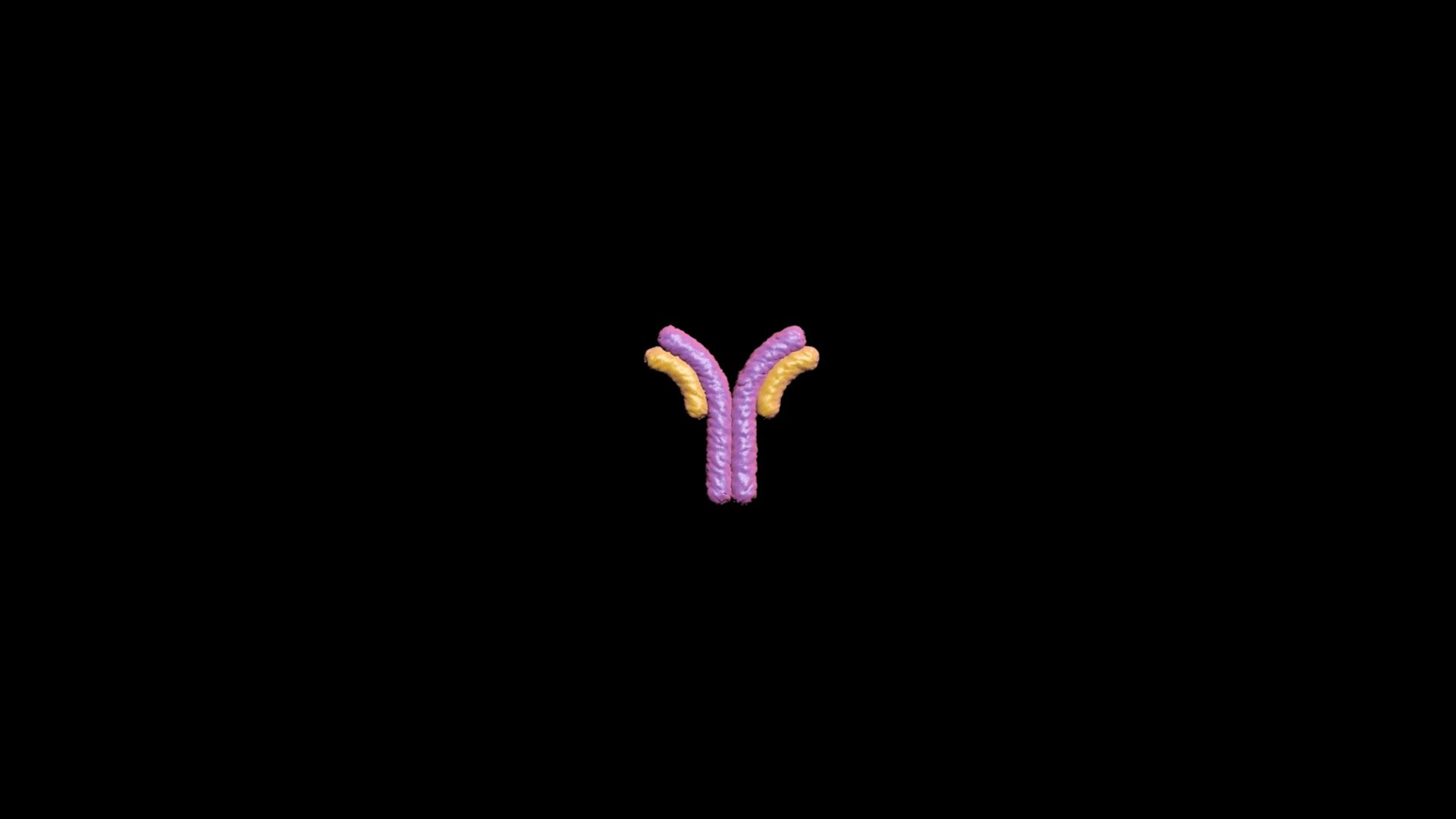 Covid-19 Antibody - Scanline