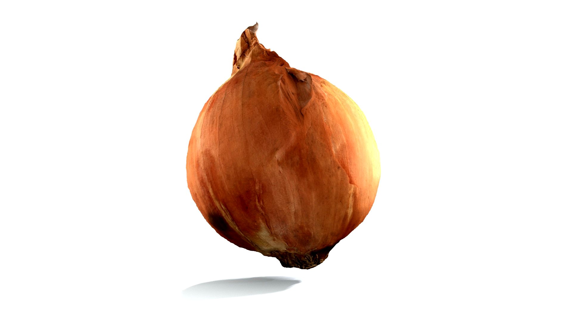 Photoscanned Photogrammetry Onion Vegetable 4k