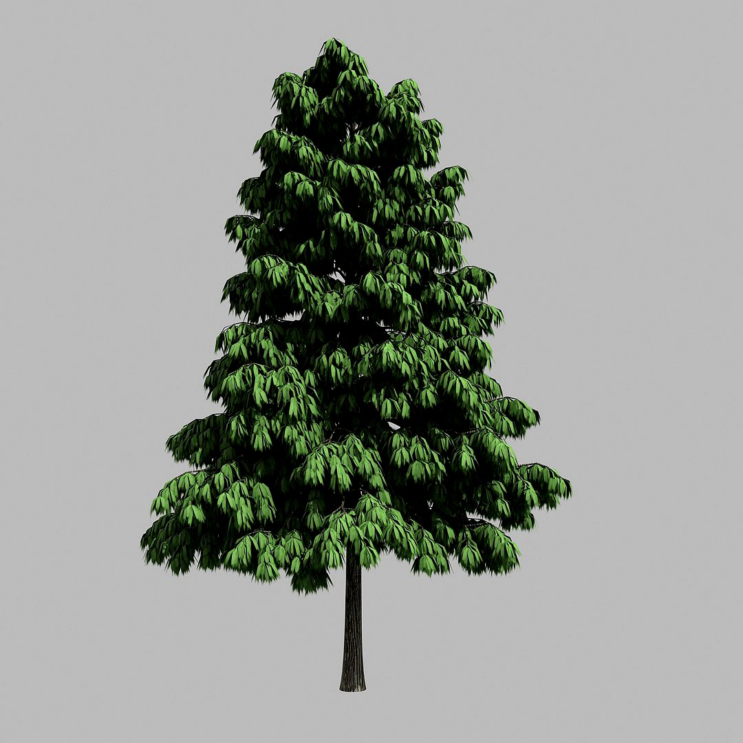 Forest - Medium Eucalyptus 85