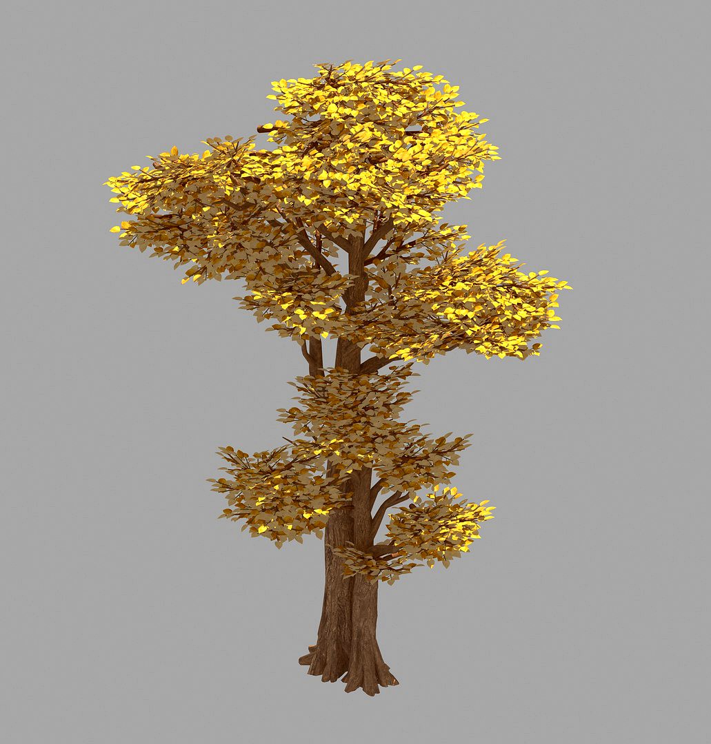 Forest - Populus 002