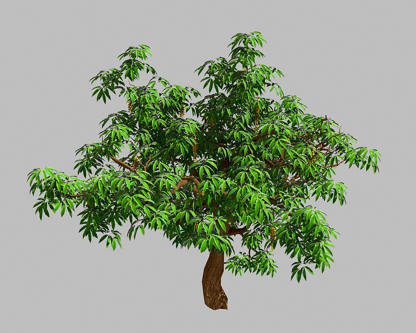 Sharp leaves - Tree 33