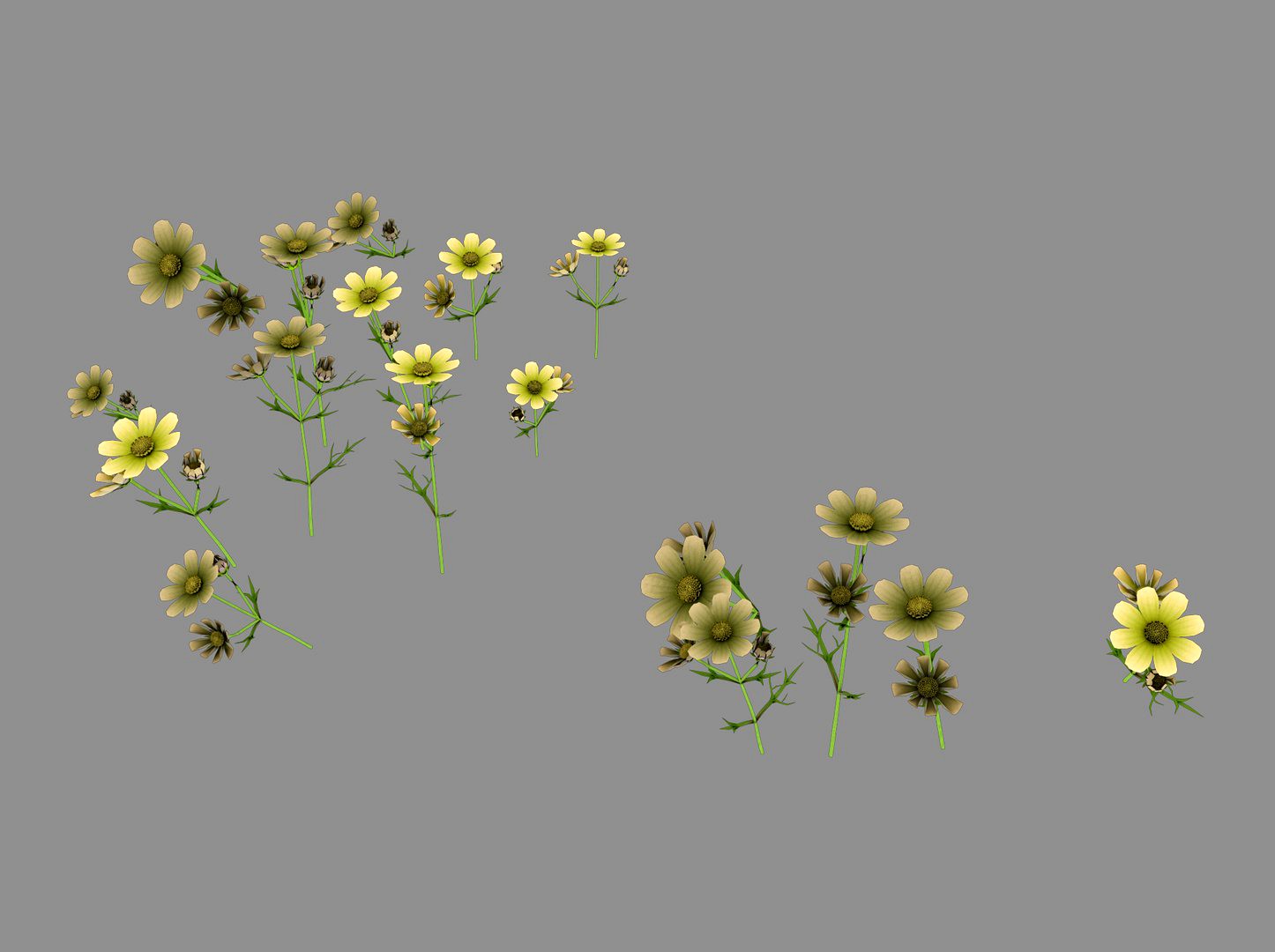 Yellow Flowers 03