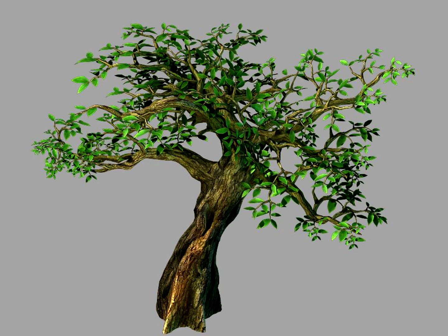 Fernnor Tree Cave - Tree 02