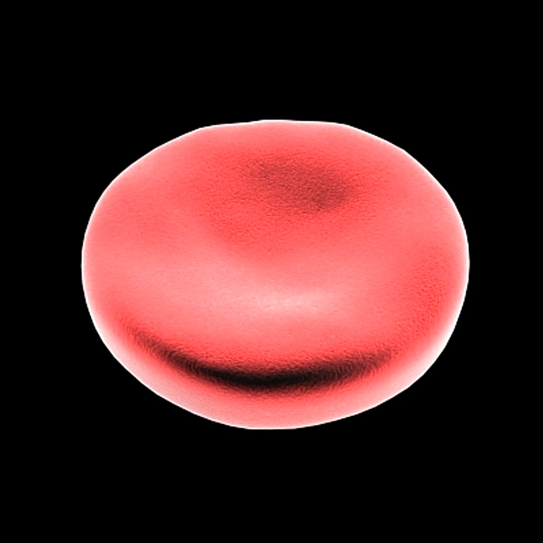 blood cell