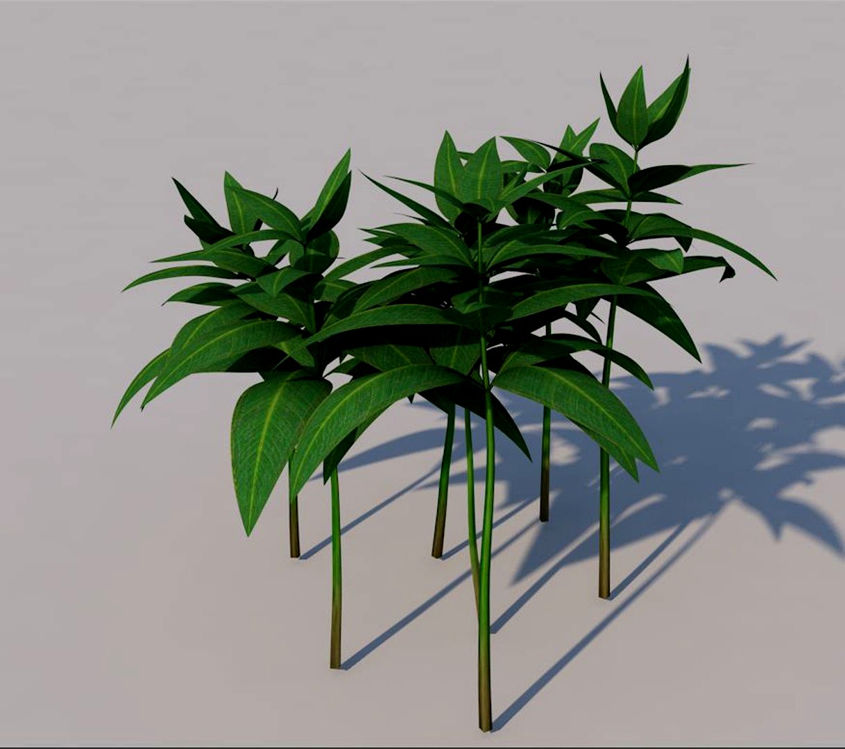 Leaf Grass