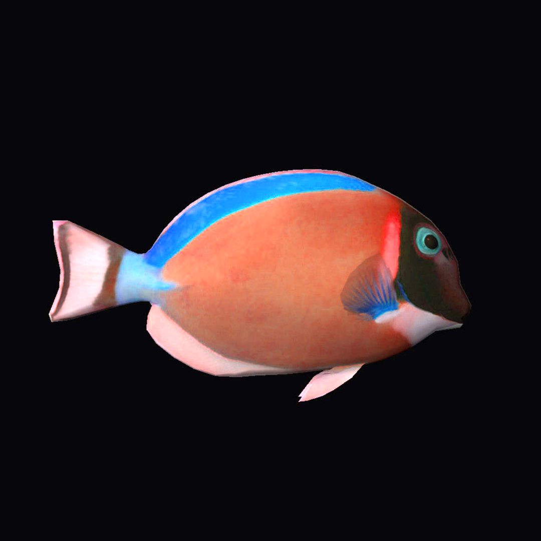 Powder Tang Red