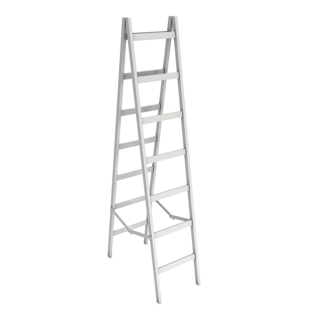 Step ladder blank