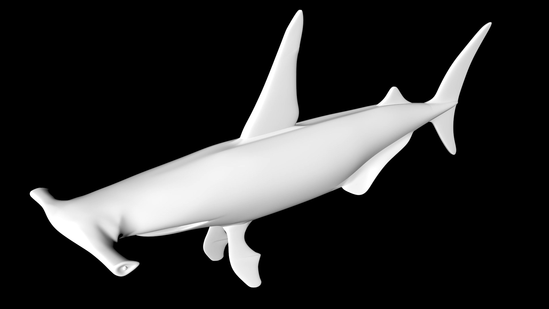 shark hammerhead