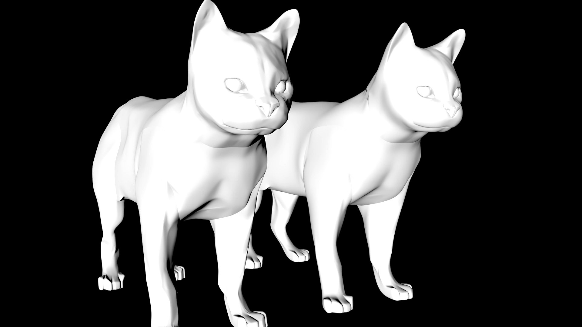 cat