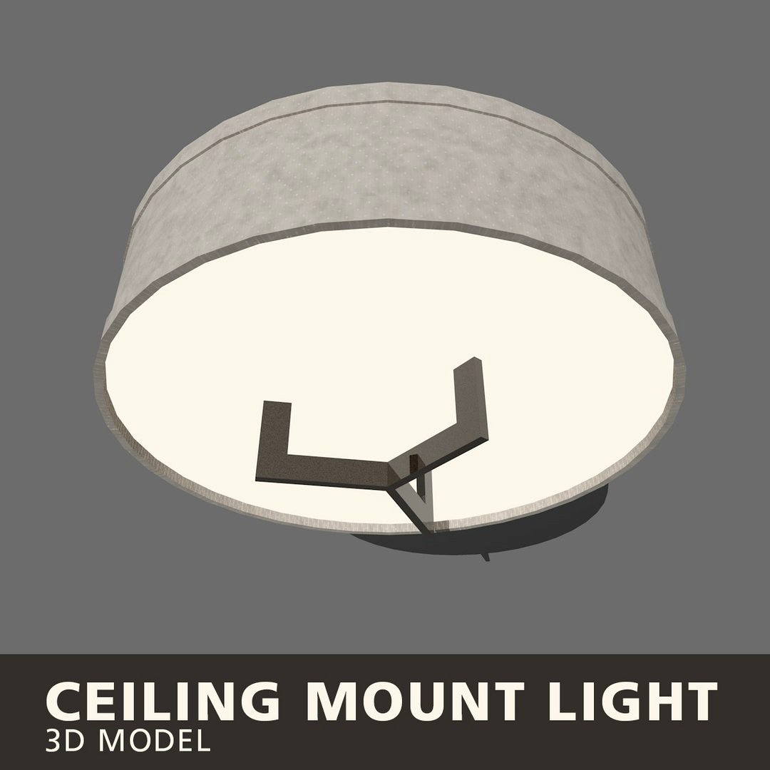Ceiling Mount Light
