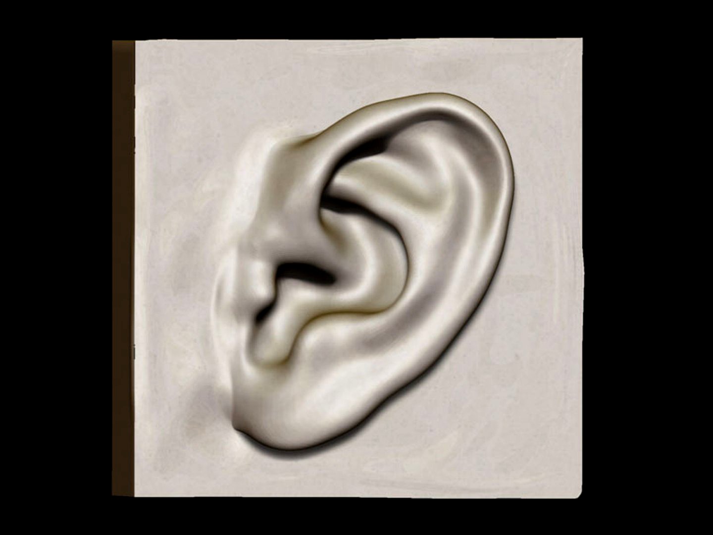 eric thorsen ear study.OBJ