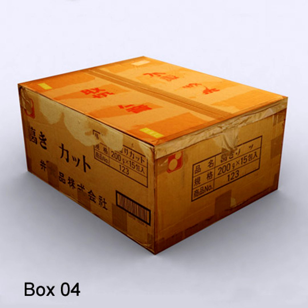 Cardboard box 04