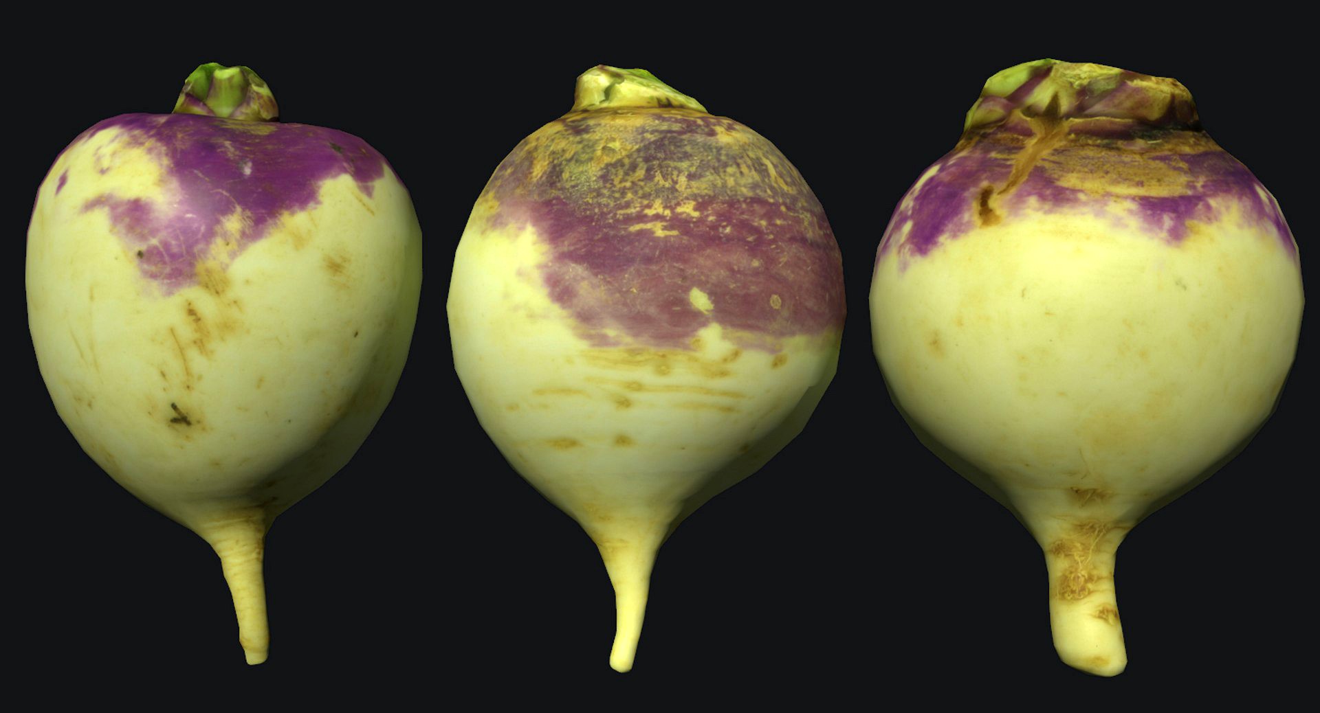 Turnip Scan 01