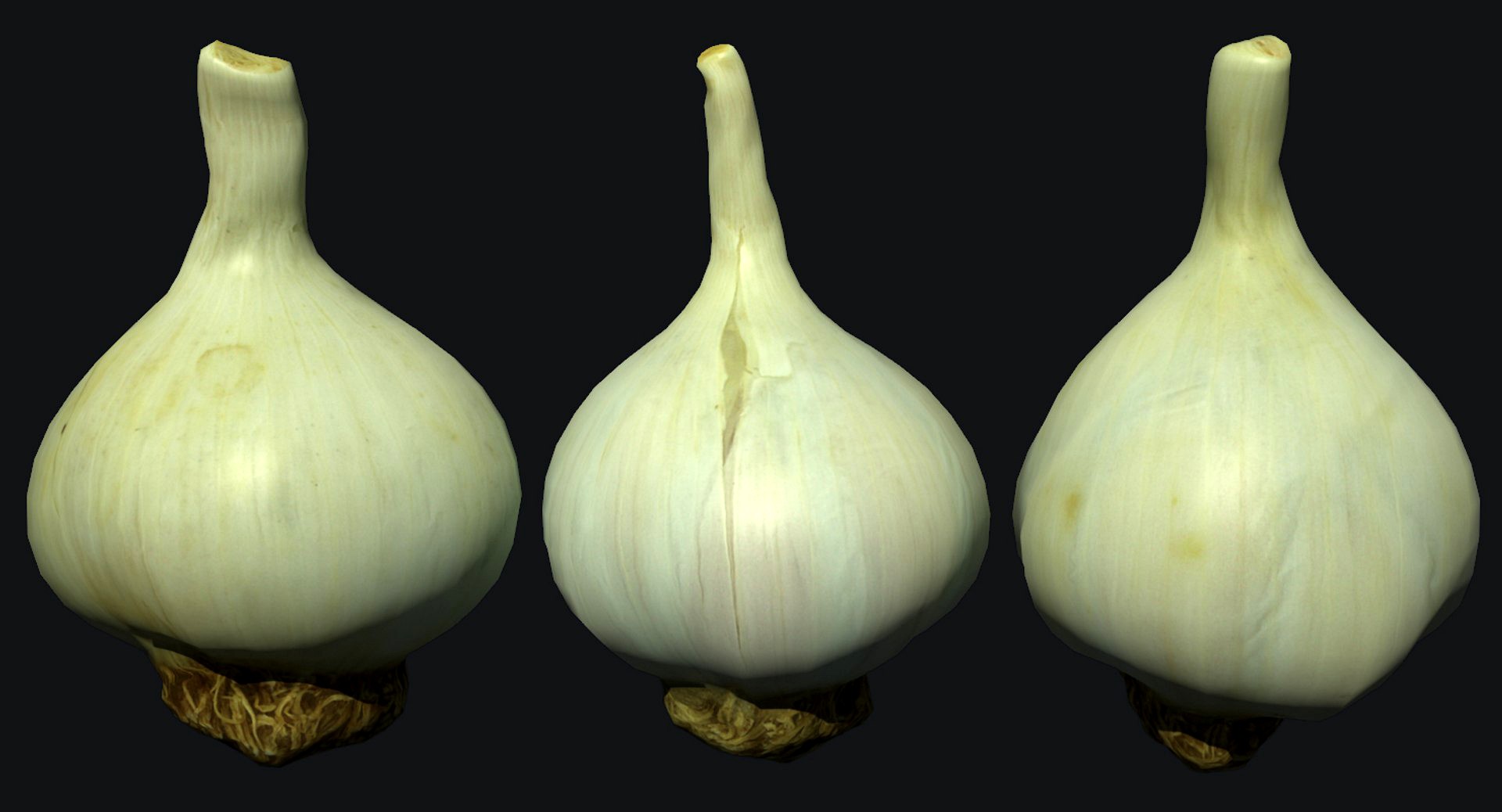 Garlic Scan 01