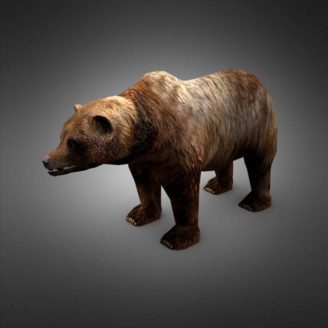 Bear