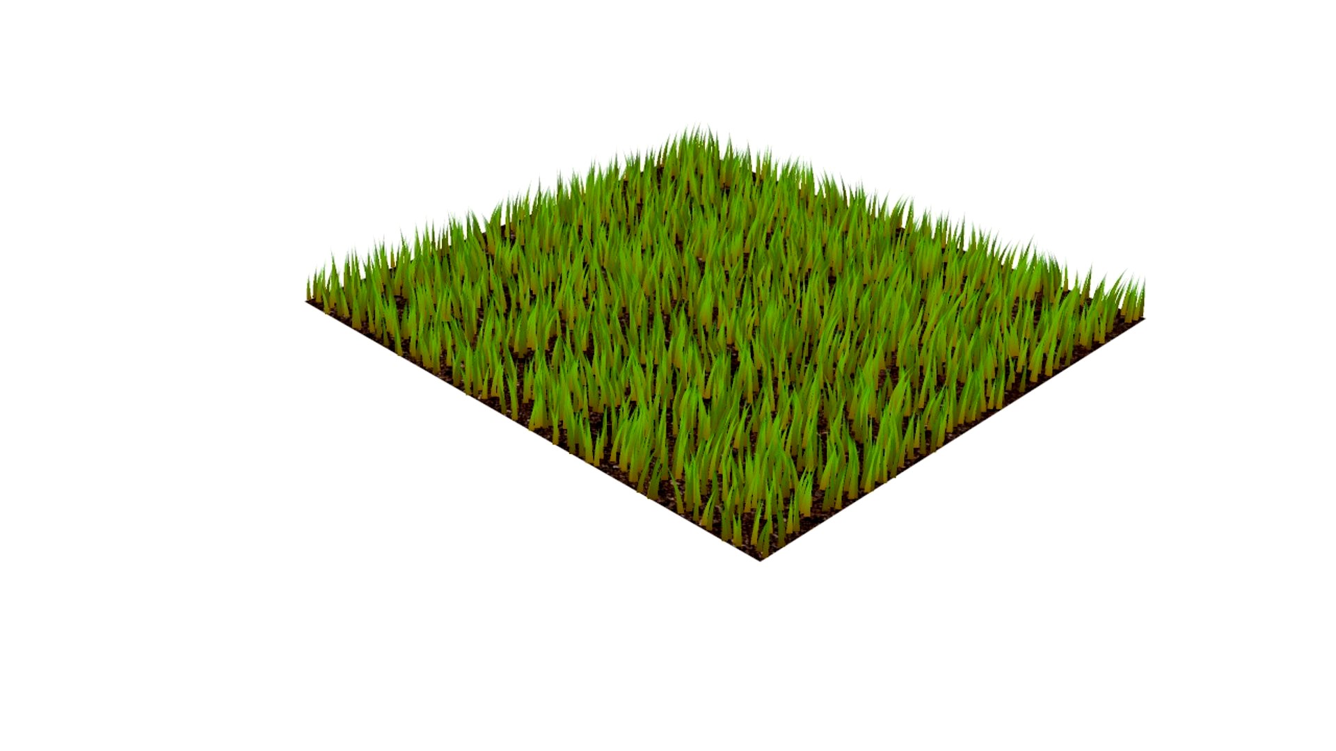 Grasses