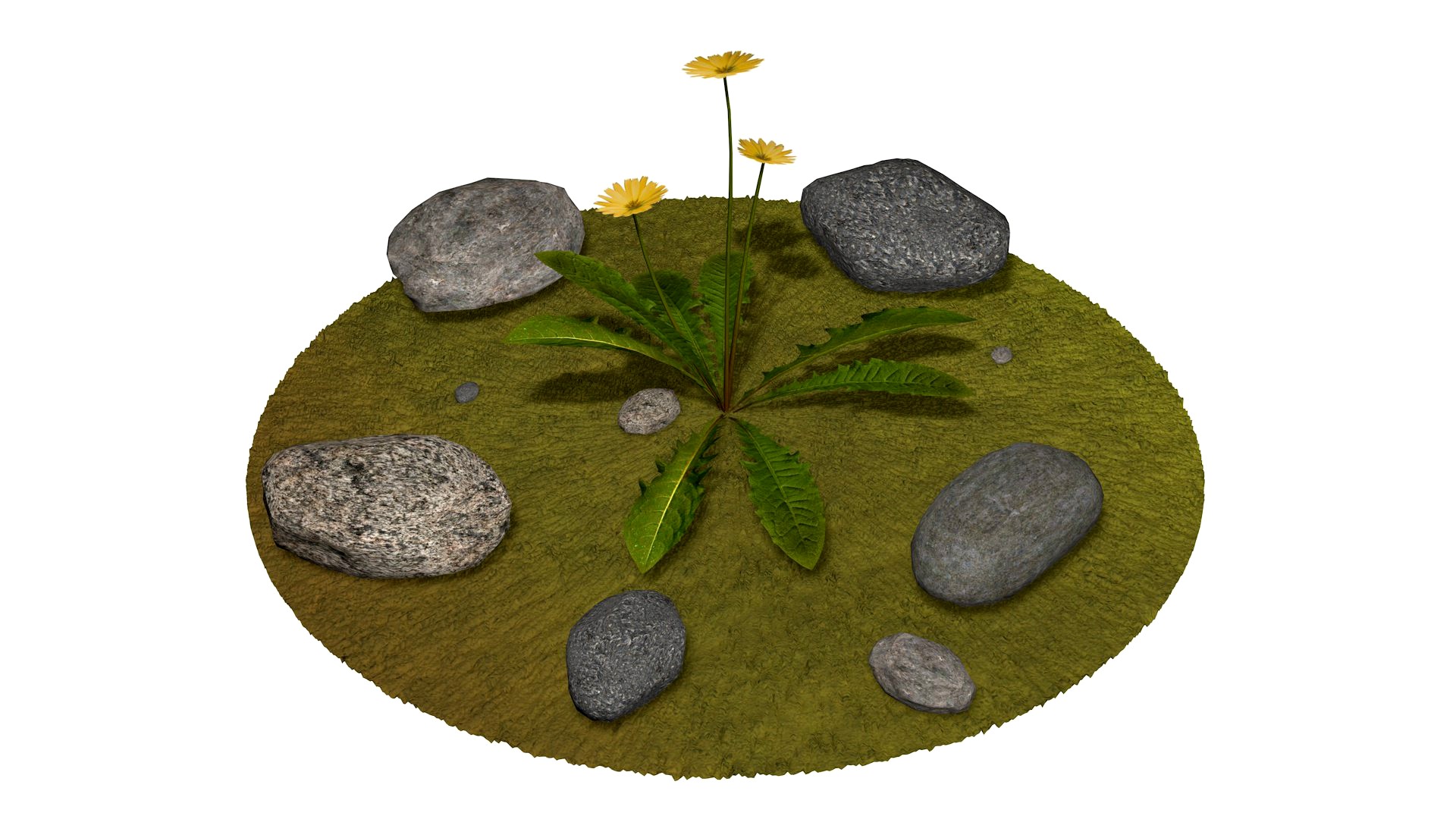 Rocks
