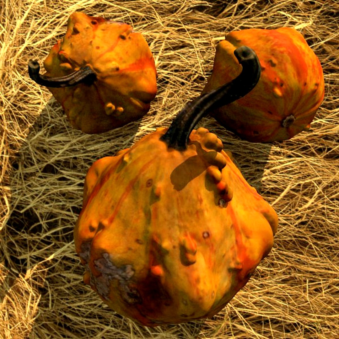 Pumpkin