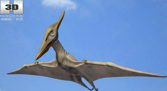 Pteranodon Pteranodon Longiceps 3D Model