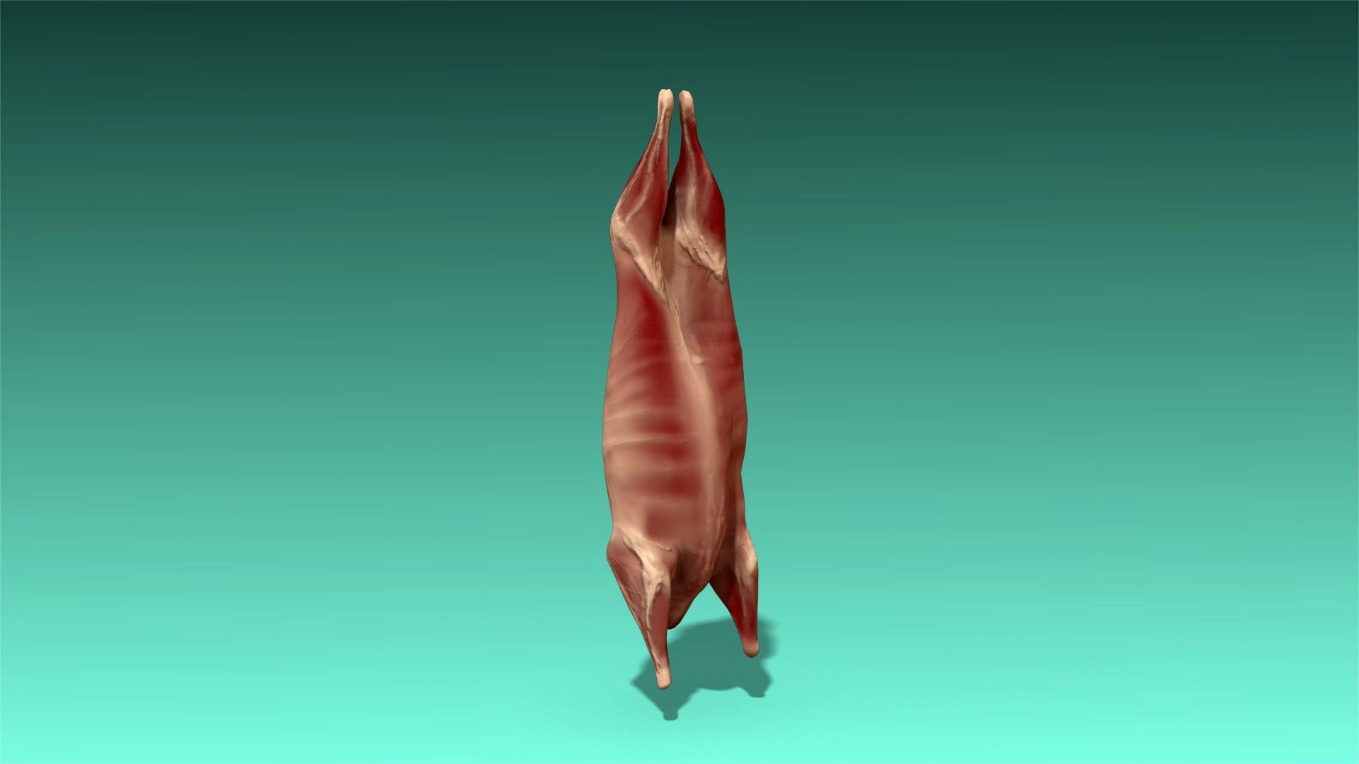 Meat 01