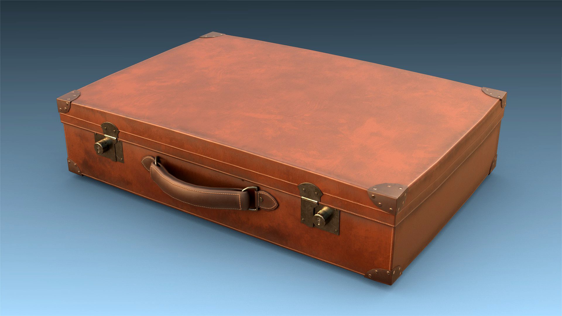 baggage5