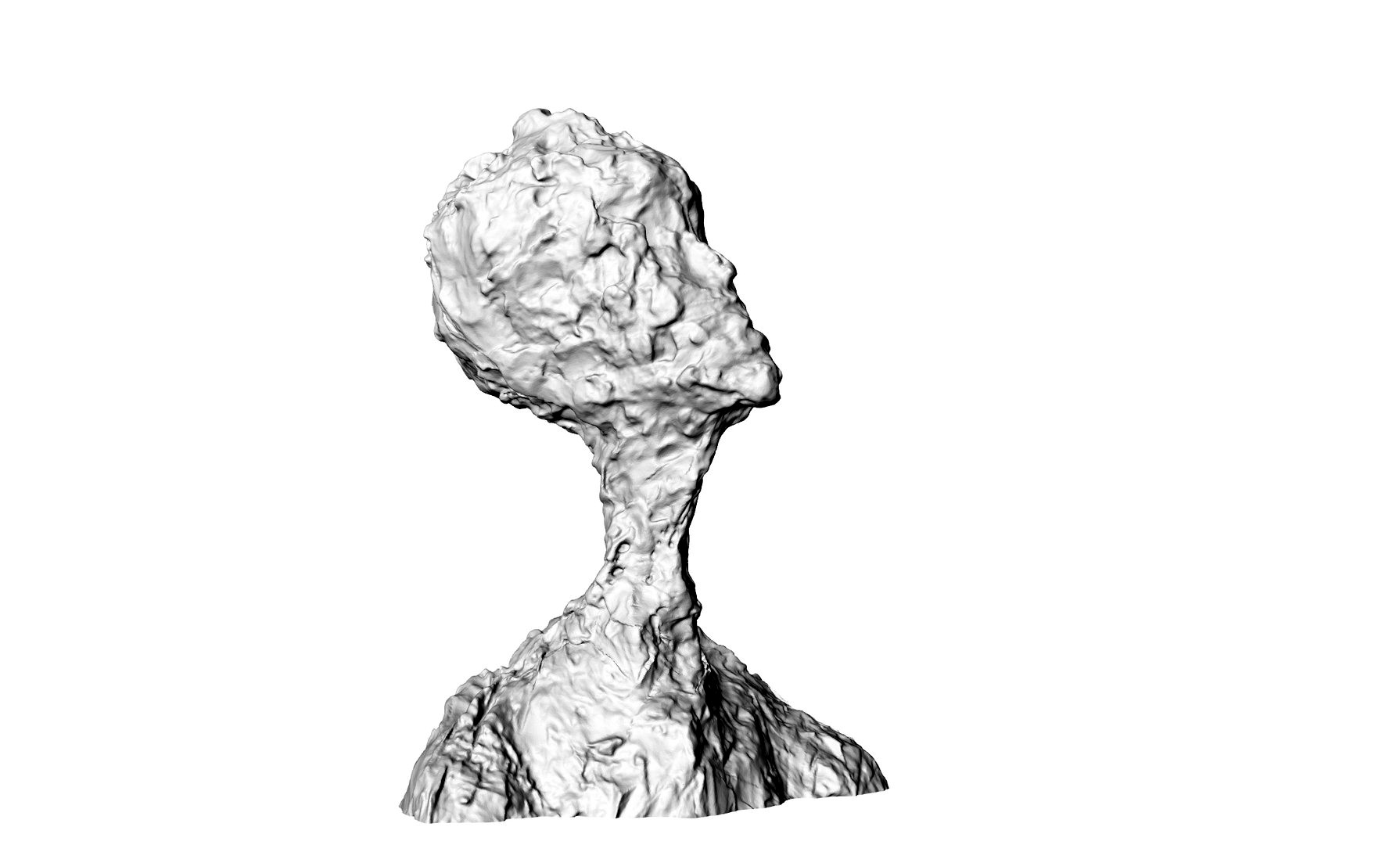Bust