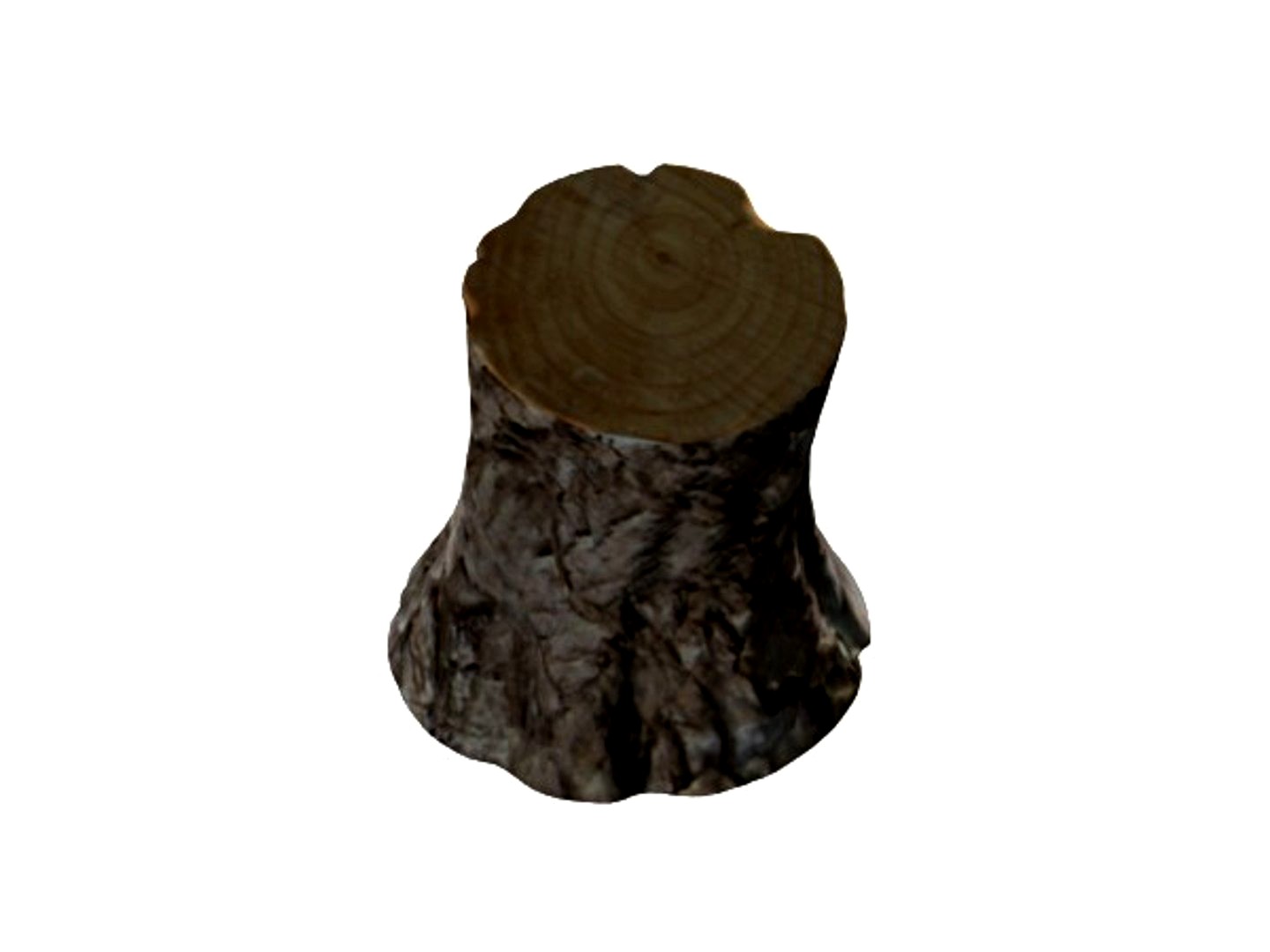 Pine tree stump