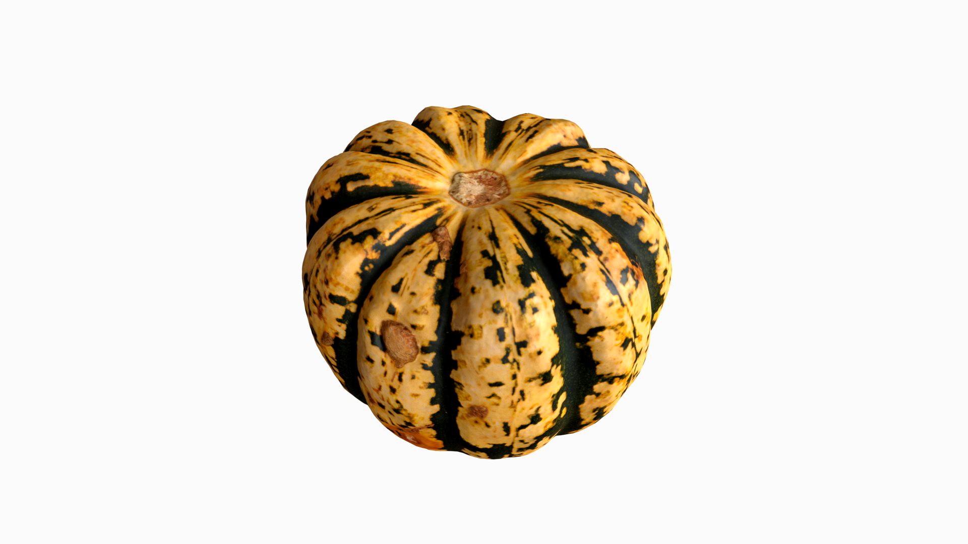 MIxed Squash