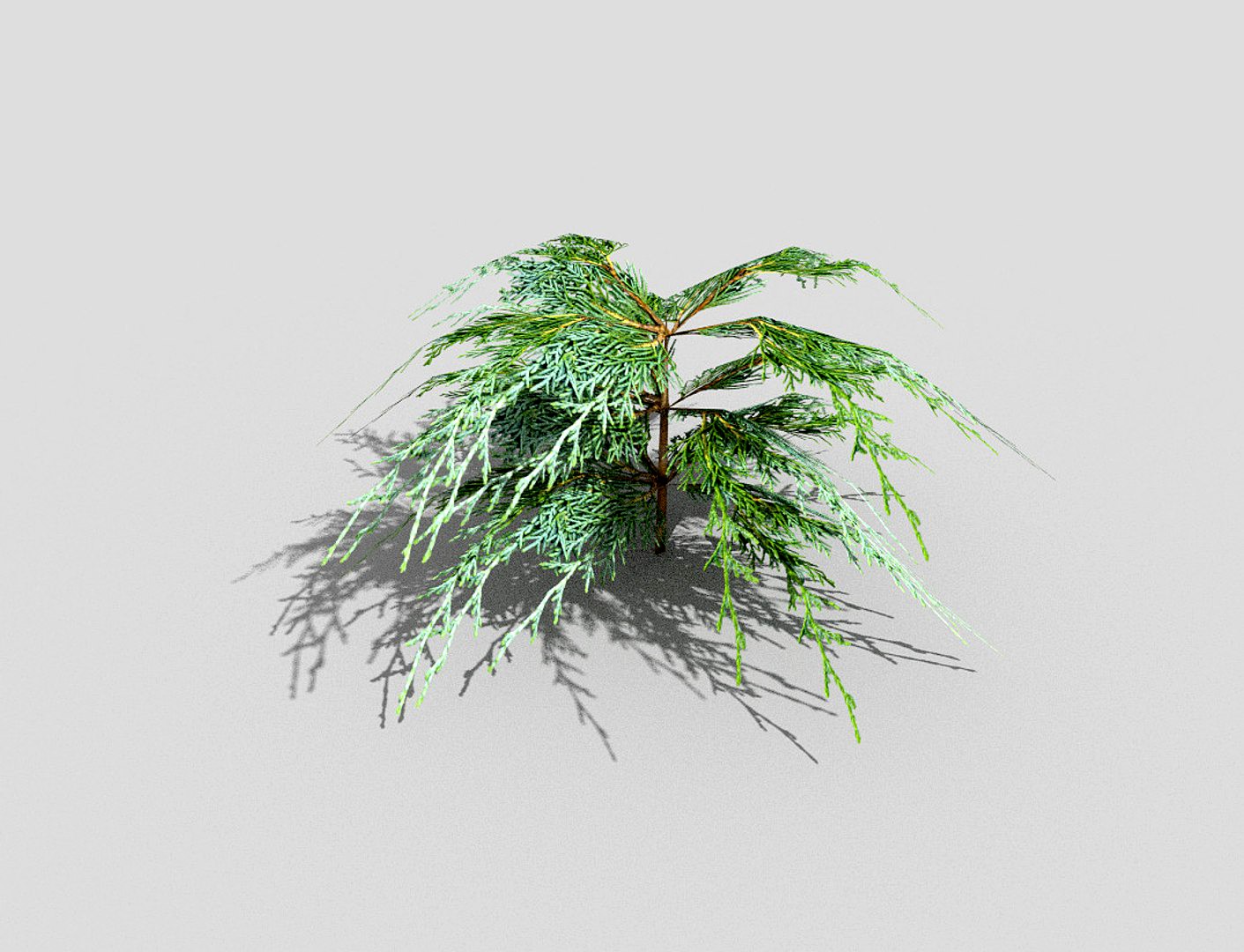 low poly shrub
