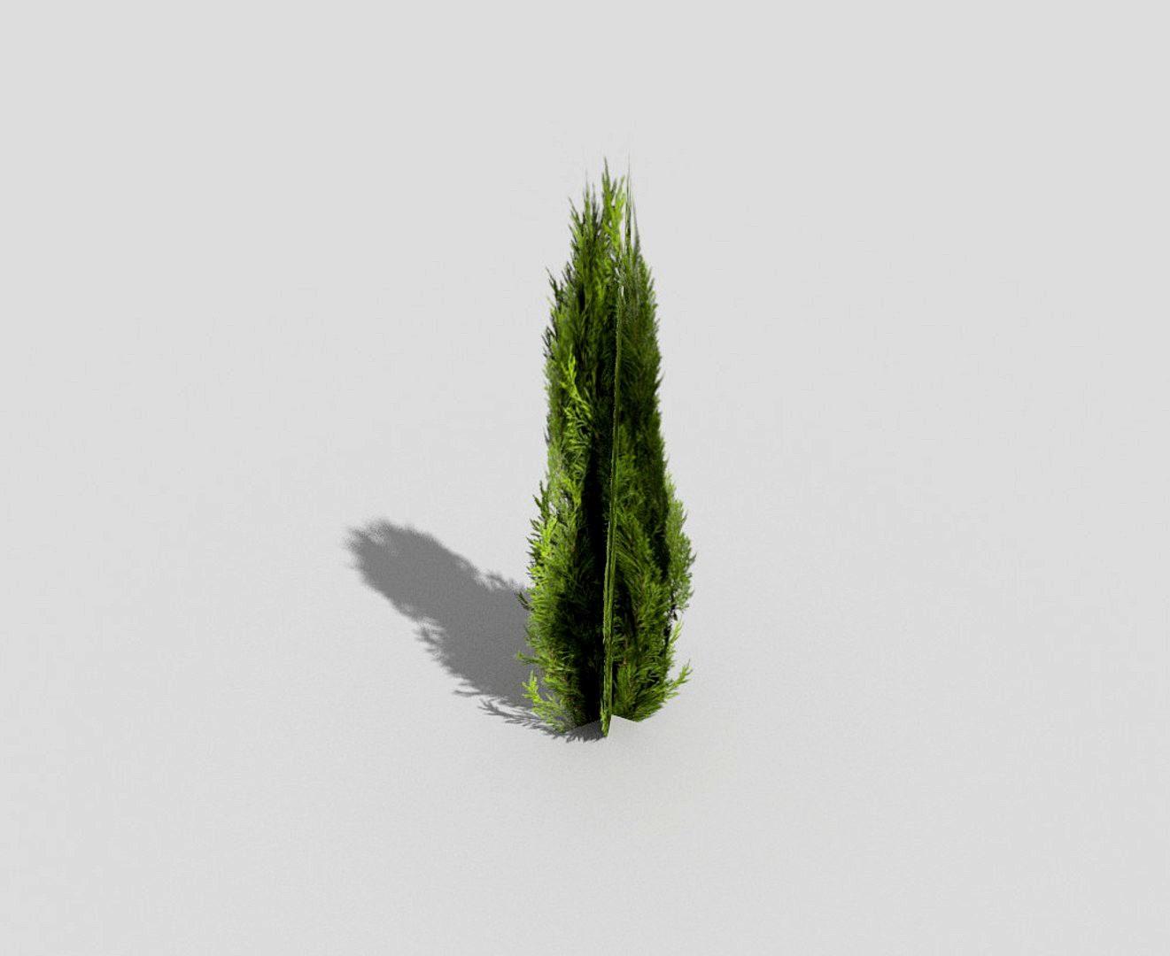 low poly shrub