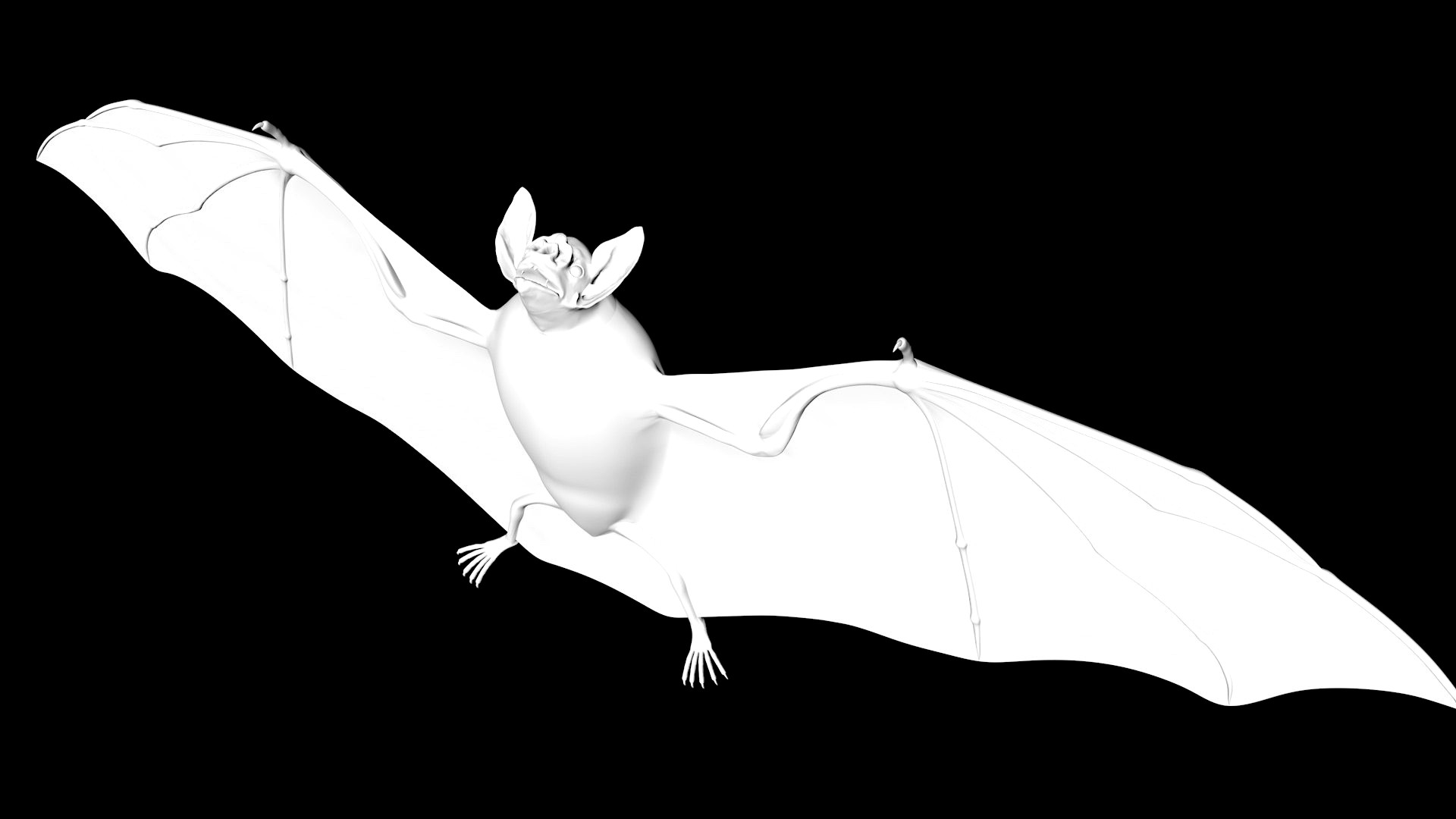 vampire bat