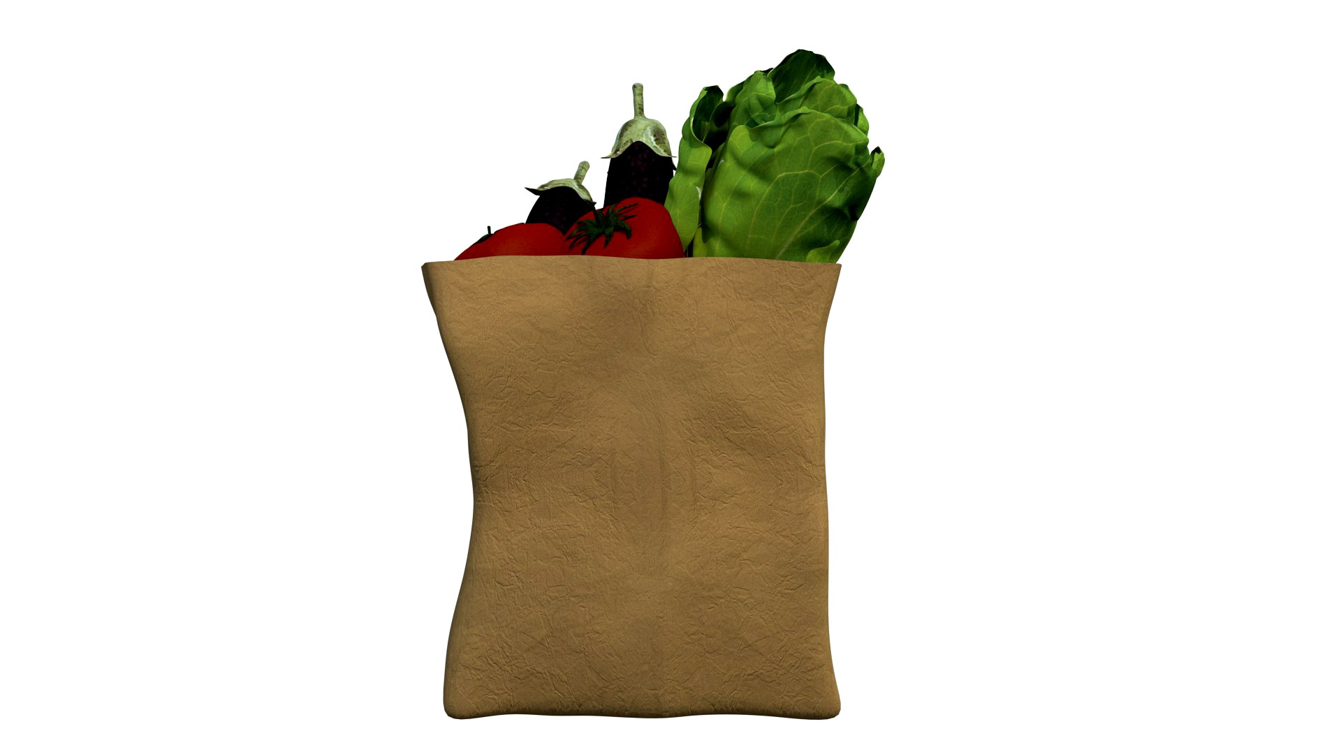 Shopping Bag