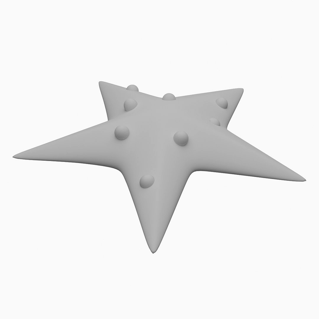 Starfish 3D Print