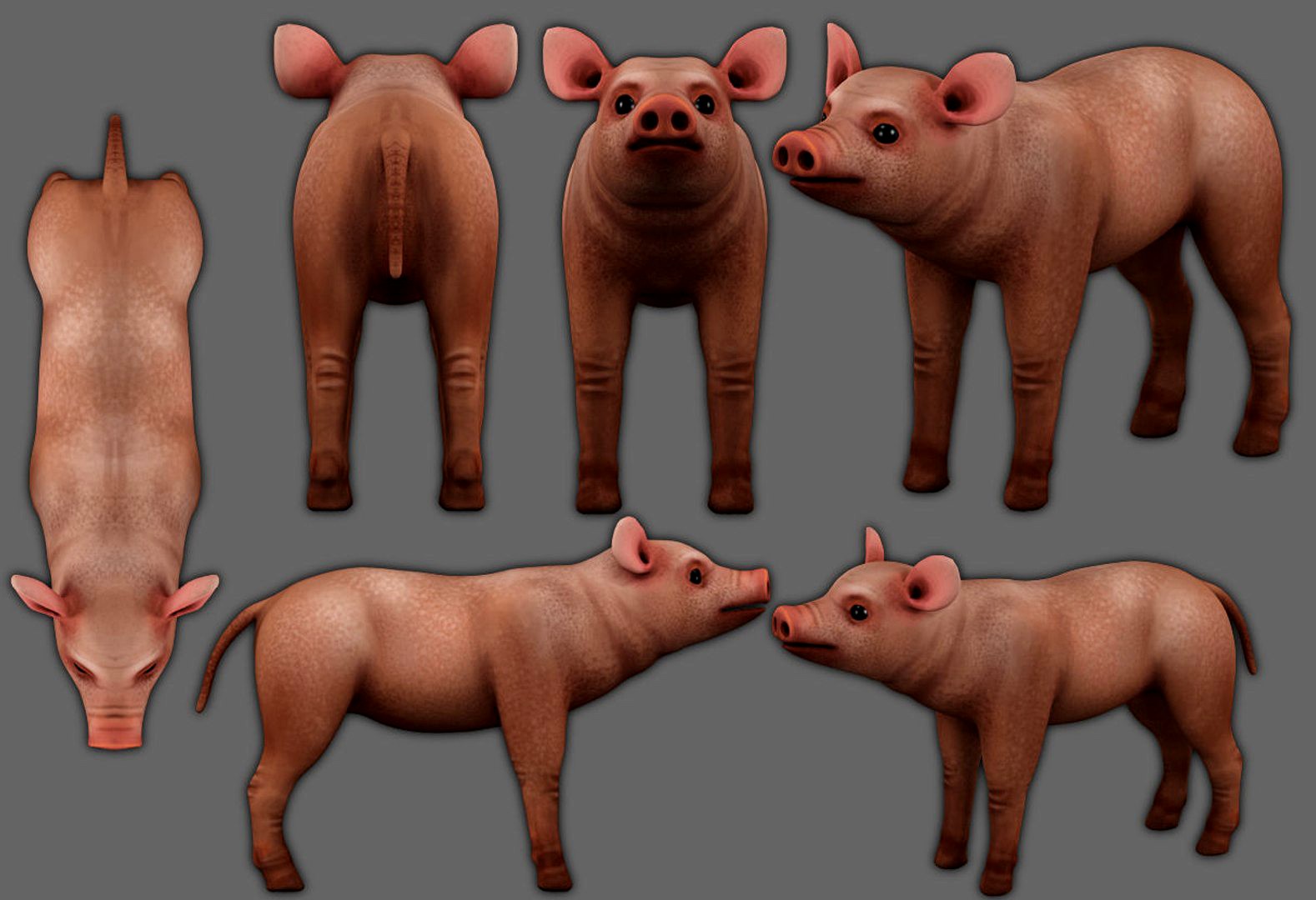 piglet Low-poly 3D model